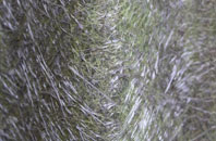 Spital Hill fibreglass roof work